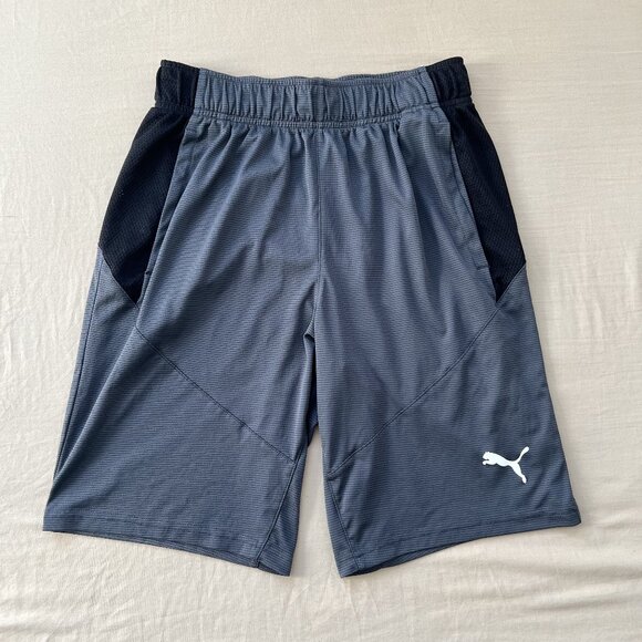 Puma Drycell 9" Shorts, Men's Small, Grey - Picture 1 of 3